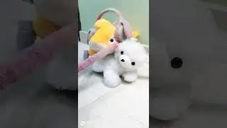 ❤️❤️❤️❤️