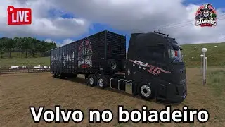 Carga viva na estrada! Volvo boiadeiro no Eldorado Pró | ETS2 LIVE