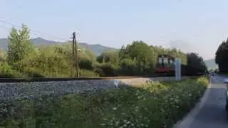 770.059 s Mn 86540