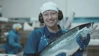 From Norway to the U.S.: A Salmon History