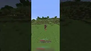THE PILLAGER VANISHED?! #carterslive #twitch  #twitchstreamer  #streamer  #minecraft