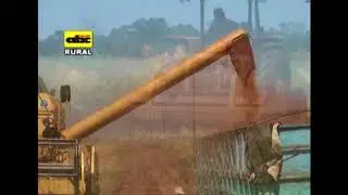 Uso de abonos verdes