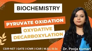 Pyruvate Oxidation | Oxidative Decarboxylation CSIR NET Lifesciences | Biochemistry | Dr. Pooja K.
