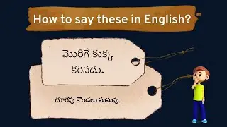 Say Telugu proverbs in English - Learn English with MNB