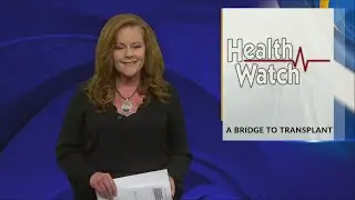 A Bridge to Transplant