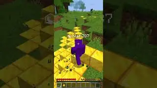 Midas 💰💰✨  #minecraft#midas  #memes #gaming