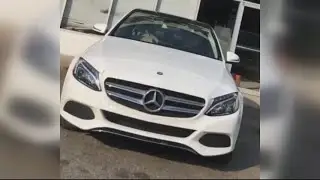 Detroit car thief suspect dragged by dreadlocks after woman finds her own stolen car