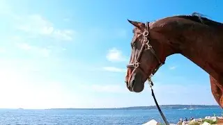 Welcome to LGCT Cannes!