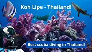 Koh Lipe - Thailand - Best Scuba Diving Location in Thailand! (Short Docu!)