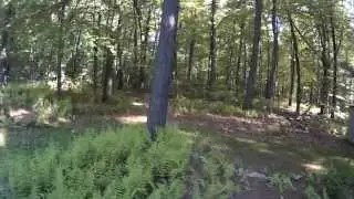 Testing Pitch Control DJI Phanrtom 2 Mobius Action Cam BCG Brushless Gimbal