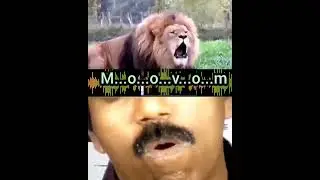 Dhamu mimics LION...