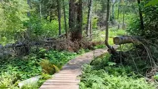 Pincushion Mountain Trail