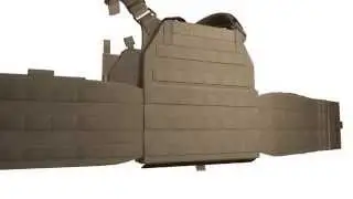 Warrior Assault System DCS Plate Carrier