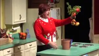 A Kodachrome Christmas starring John McGivern