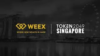 WEEX X TOKEN2049