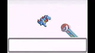 Feeding Pok&eacute;mon with Pok&eacute;blocks (Gen 3) - All Natures Animation