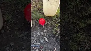 Replacing a frost damaged ballcock valve #farming #farmlife #smallscalefarming #marketgarden