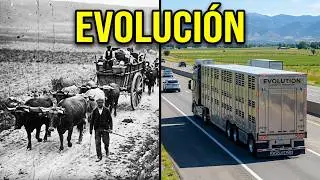 ⚡Clásicos de transportes de Animales 1.920⚡