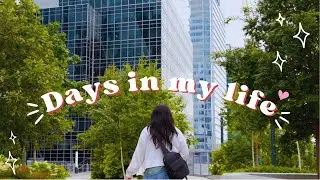 Finding joy in spending time alone ☕🌷 daily cozy vlog, home cooking, going to toronto alone  🛤️