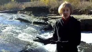 Ann Sieg Answers, 
