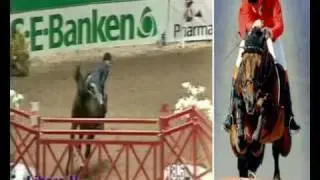 Libero H (Landgraf I x Ronald)