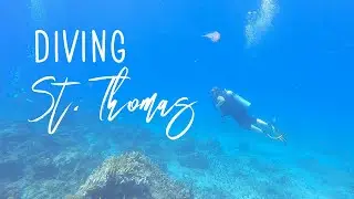 Dive here in St Thomas | 2 Tank Boat and Shore Dives