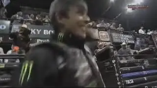 PBR Highlights Bushwacker Legendary Bull