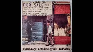 Jook House Blues - Big Joe Williams, Johnny Shines & Sunnyland Slim