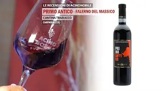 🍇 PRIMO ANTICO | FALERNO DEL MASSICO | CANTINA TRABUCCO
