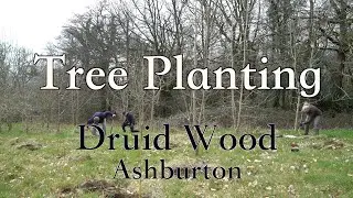 An Invitation to Planting Trees at Druid Wood, Ashburton