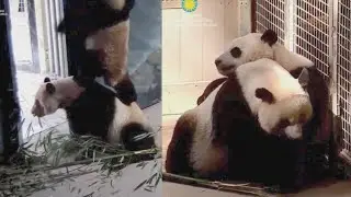 2022-05-10 Xiao Qi Ji ~ This & That, & Oh His Poor Mother!