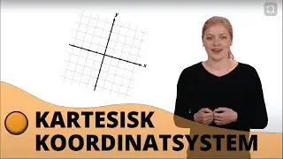 Kartesisk koordinatsystem