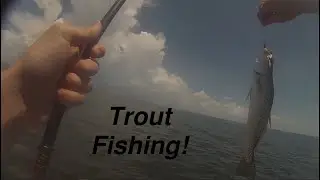 Catching Trout in Cedar Key!! Cedar Key Inshore Fishing