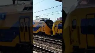 NS VIRM 9588/9417 Arriving at Rotterdam Central Station on 29/06/18 #Shorts