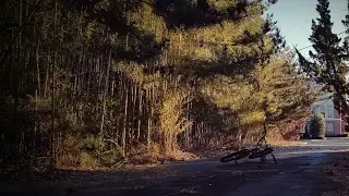 Julian Ogle's live broadcast