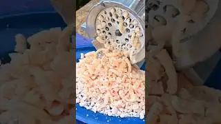 EXPERIMENT SOAP VS MEAT GRINDER