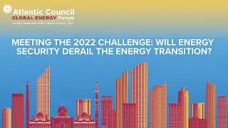 Meeting the 2022 challenge: Will energy Security Derail the energy transition? (Part II)