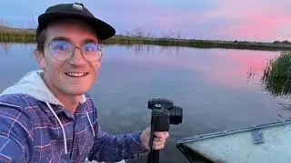 Bird watching Beaver battles and duckling cuteness | American Coot, Ruddy Duck and Northern Shoveler
