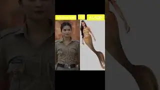 madam sar vs Aladdin#madam sar#Aladdin#trendingsong#trendingvi...