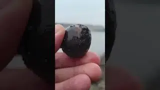 Mudlarking the Thames - #Mudlarking Best Finds - Grapeshot