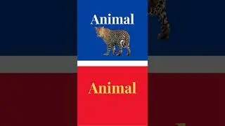 English and Spanish Words that are Identical #howtolearnenglishlanguage