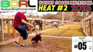 Epic Dog Races: Watch These Pups Fly!
