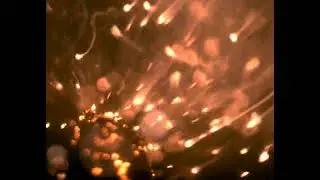 【ディテクトのハイスピードカメラ】燃焼（SHシリーズ）