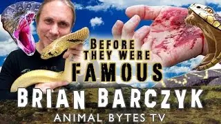 ANIMAL BYTES TV &ndash; До того, как они стали знаменитыми w. Брайан Барчик