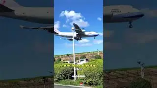 Jet Engines Fear This More Than Failures&hellip;#BirdStrike#AviationSafety#EngineMechanism#FlightFacts#usa