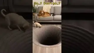 A Little Puppy Takes the Challenge 🐶