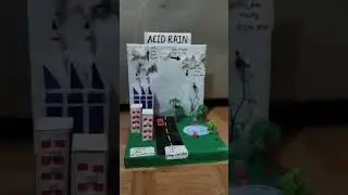 working model in science #acid rain      Acid rain school project #B.ed