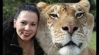8 Bizarre Hybrid Animals You Won't Believe Exist