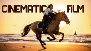 Beach horse ride while the sun sets in the sea | Horse shortfilm