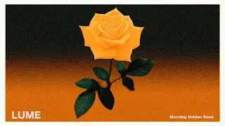 Morning Golden Rose | Chill House for a Positive Morning Vibe